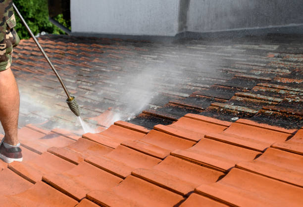 Best House Pressure Washing  in Clarence, IA