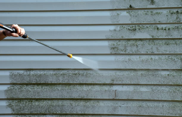 Best Best Pressure Washing Companies  in Clarence, IA
