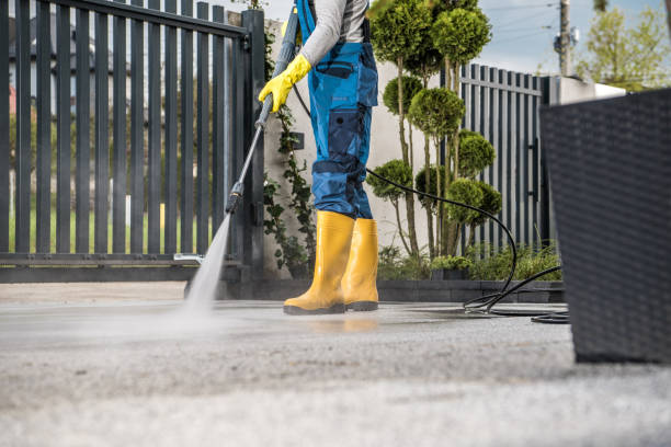 Best House Pressure Washing  in Clarence, IA