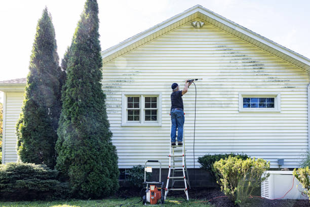 Best Pressure Washing Brick  in Clarence, IA