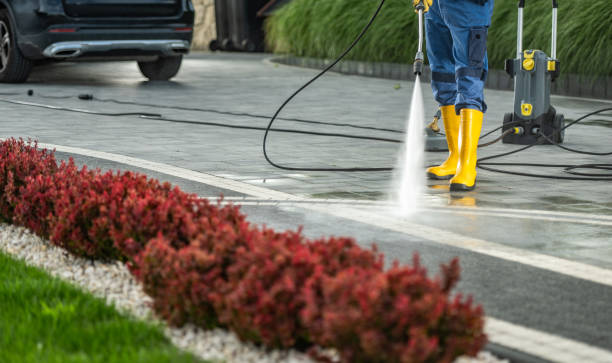 Best Best Pressure Washing Companies  in Clarence, IA