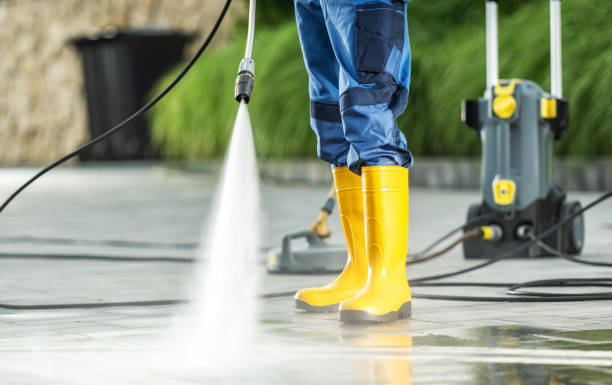 Best House Pressure Washing  in Clarence, IA