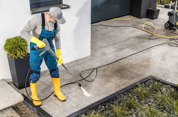 Best Power Washing Near Me  in Clarence, IA