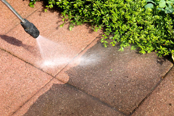 Best Affordable Pressure Washing  in Clarence, IA